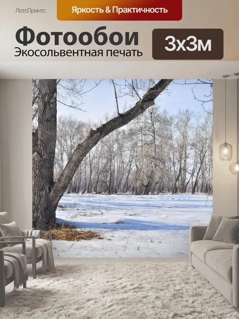 Фотообои Пейзаж со снегом