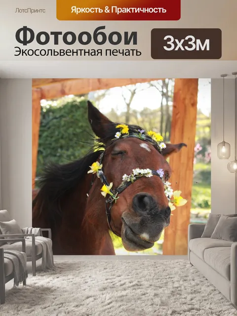 Фотообои Лошадь