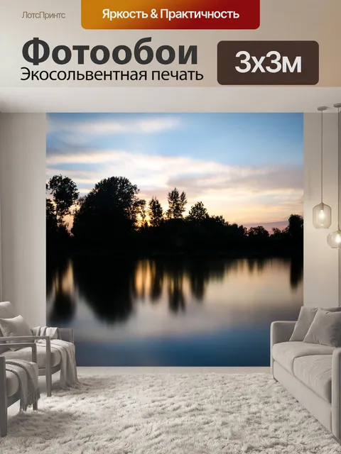 Фотообои Силуэт