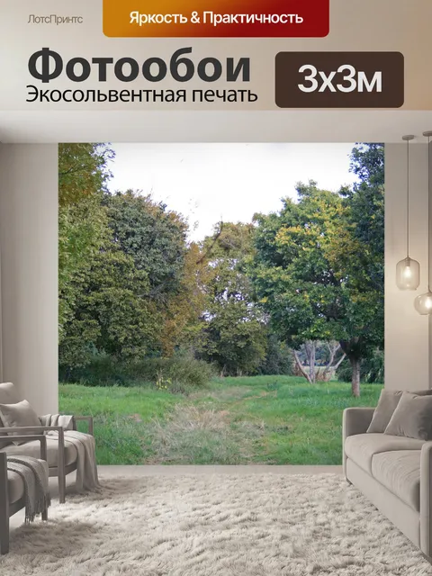 Фотообои сцена с деревьями в парке