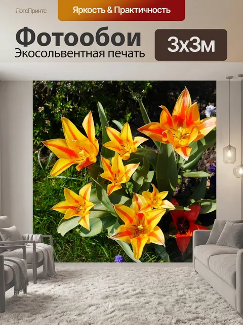 Фотообои Тюльпаны