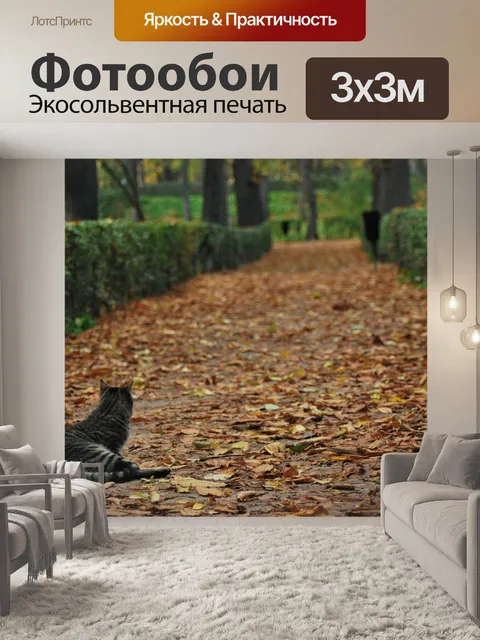 Фотообои Кошка