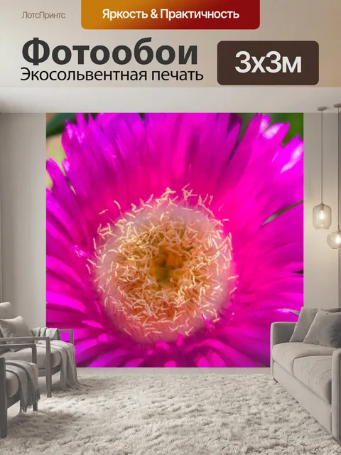 Фотообои Цветы