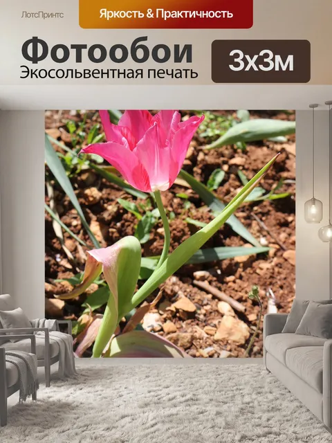 Фотообои Пурпурный
