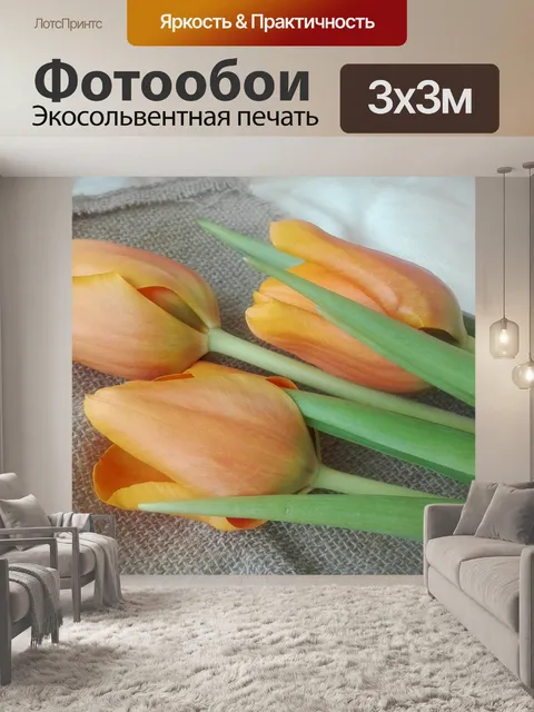 Фотообои Тюльпаны