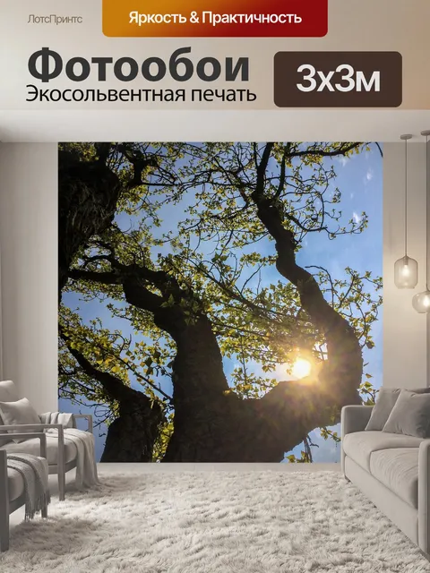 Фотообои Весна