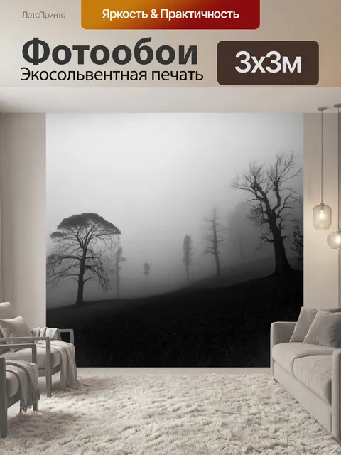 Фотообои туман в стиле черно-белый, привидения деревьев, встающих из тумана, создающих атмосферу мистики