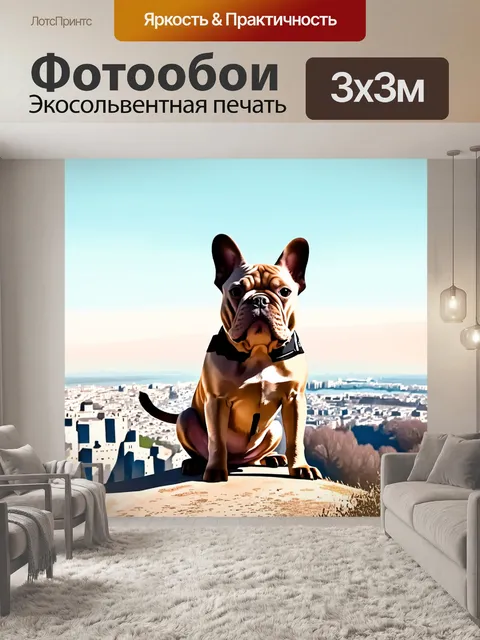 Фотообои изображение французского бульдога