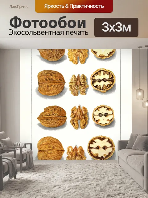 Фотообои Грецкий орех винтажное искусство