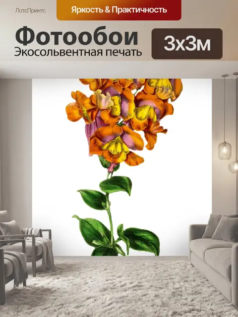 Фотообои Винтажный цветочный клипарт старый