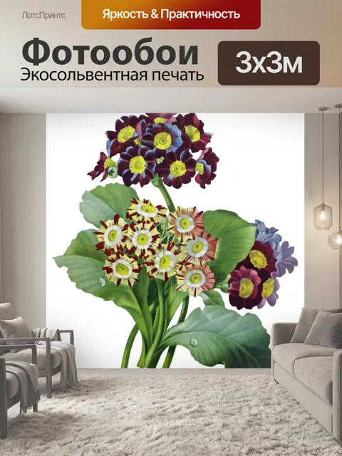 Фотообои Цветы