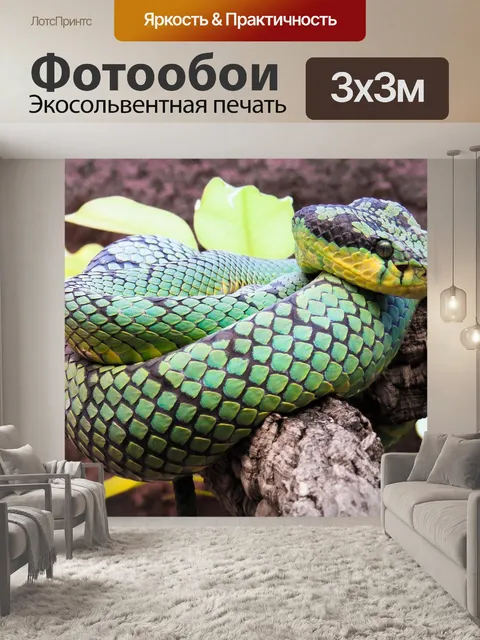 Фотообои Животное