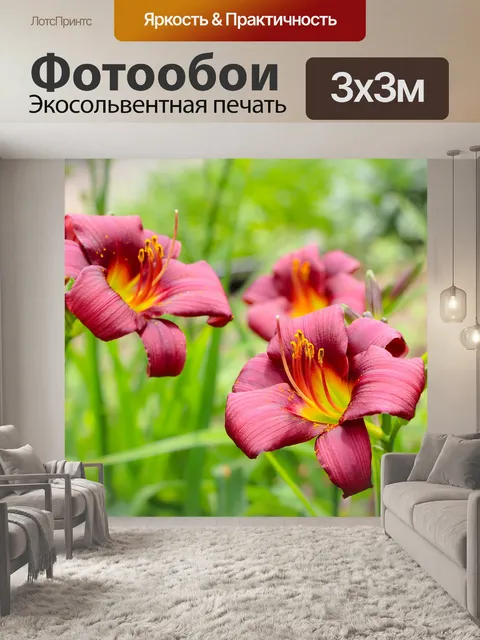 Фотообои Цветы