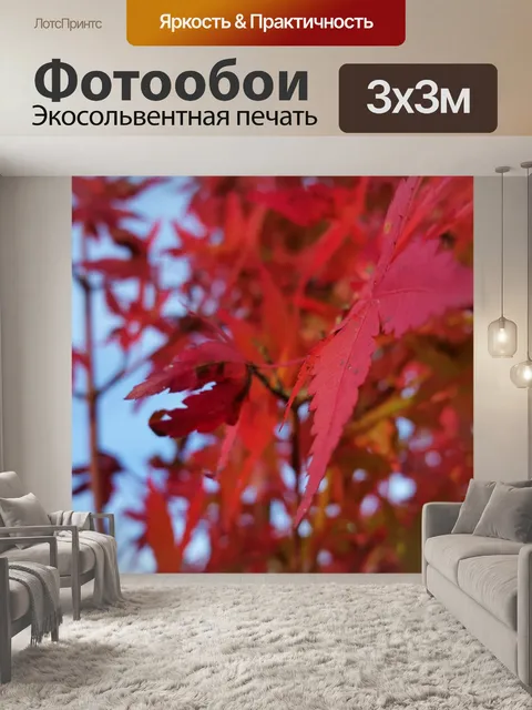 Фотообои Красные листья