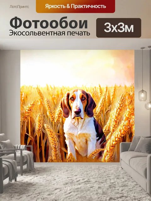Фотообои на затопленном светом пшеничном поле