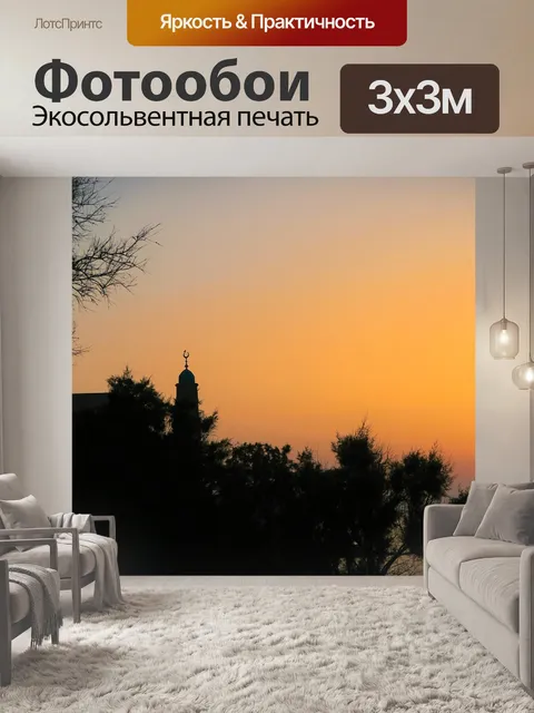 Фотообои Силуэт
