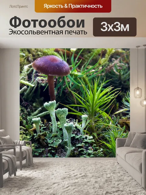 Фотообои Лес