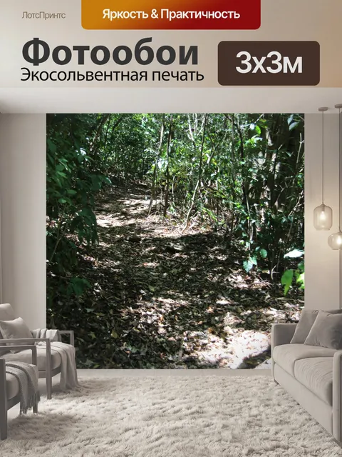 Фотообои Путь в джунглях