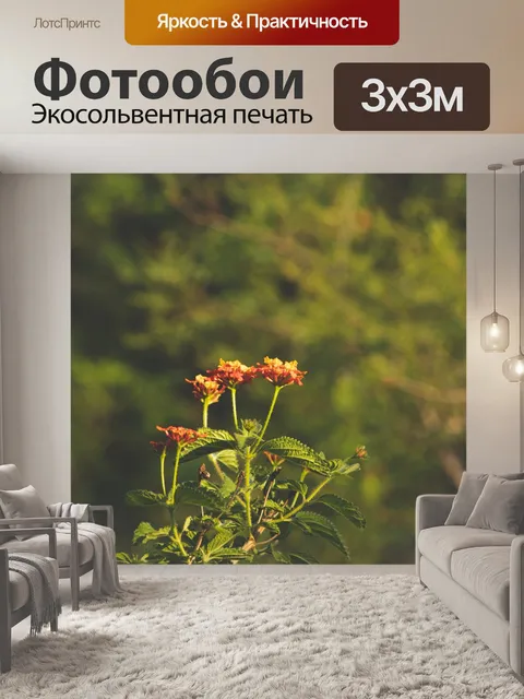 Фотообои Цветы