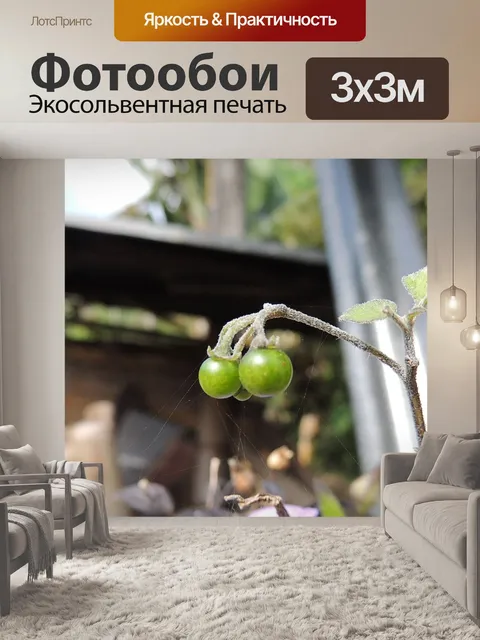Фотообои Фрукты