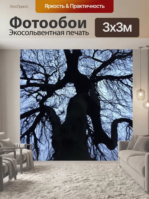 Фотообои Дерево