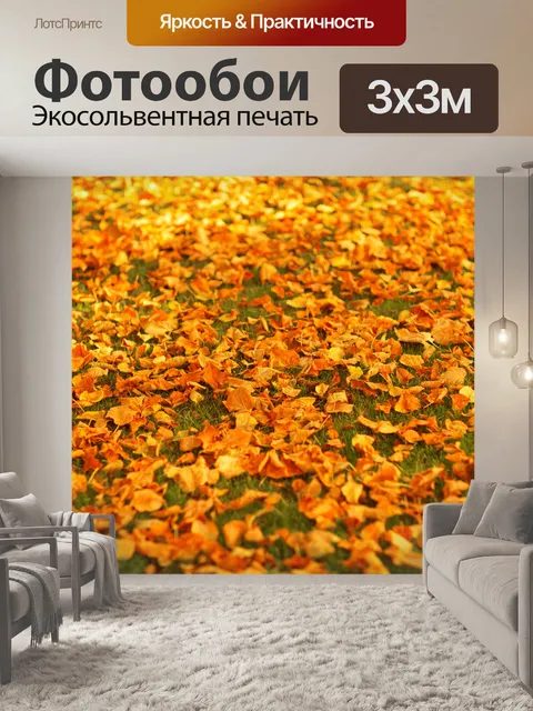 Фотообои Осенние листья на землю