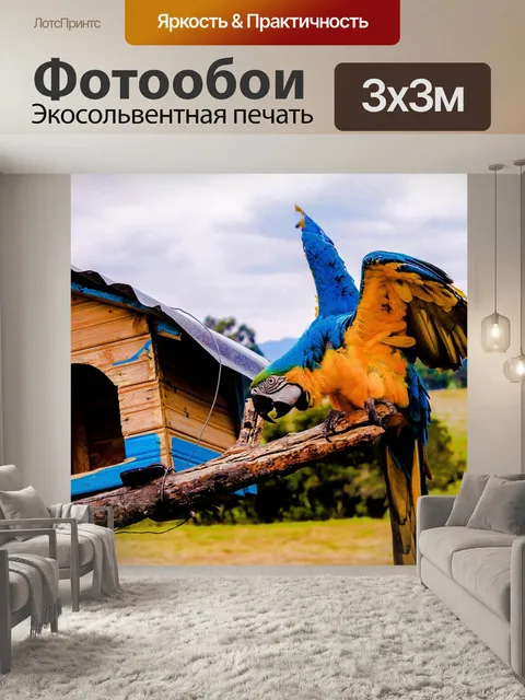 Фотообои Птица