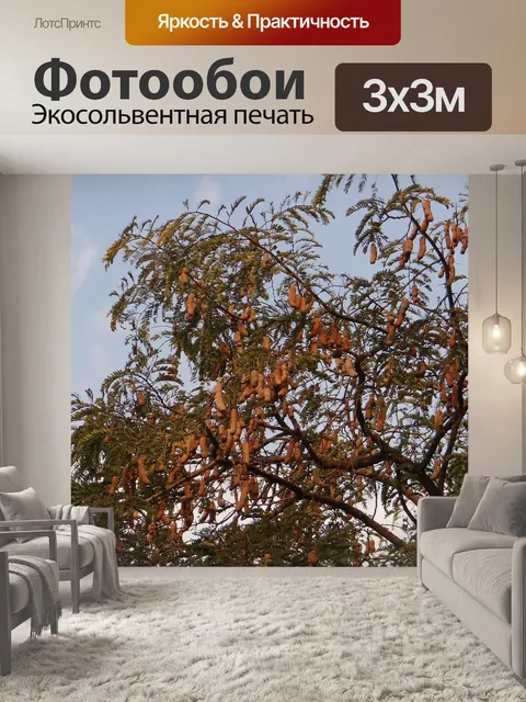 Фотообои Тамаринд дерево