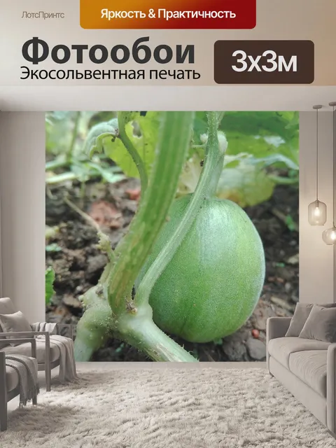 Фотообои Фрукты