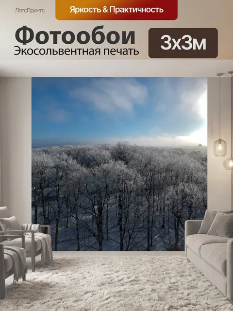 Фотообои Зима