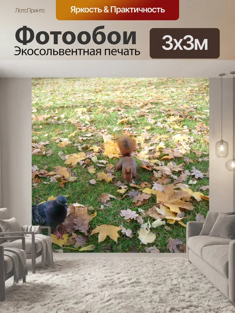 Фотообои Белка и голубь