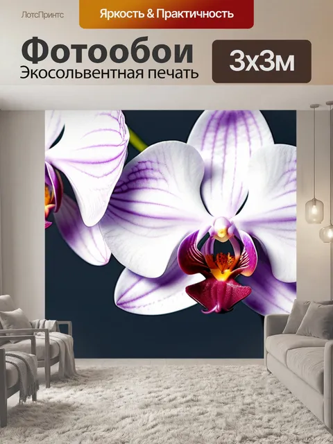 Фотообои с орхидеей минимал