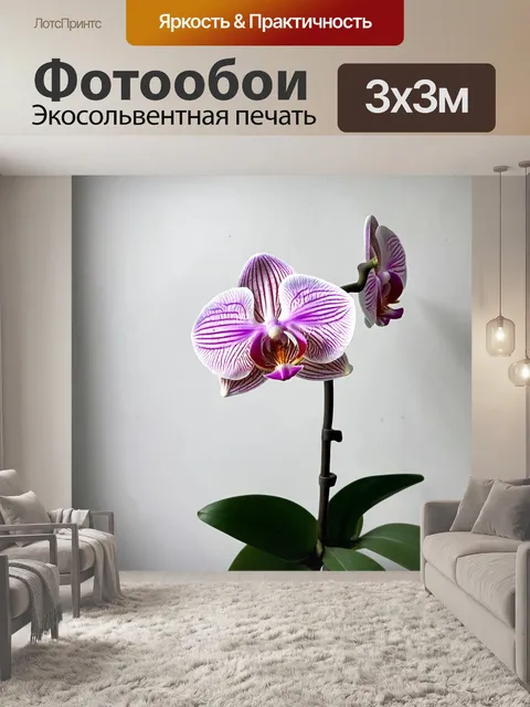Фотообои орхидея в минималистичном интерьере, акцент на её красоту и форму