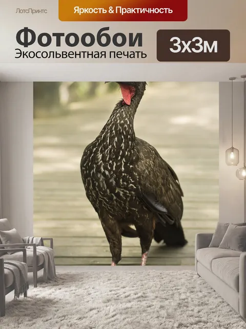 Фотообои Зоопарк