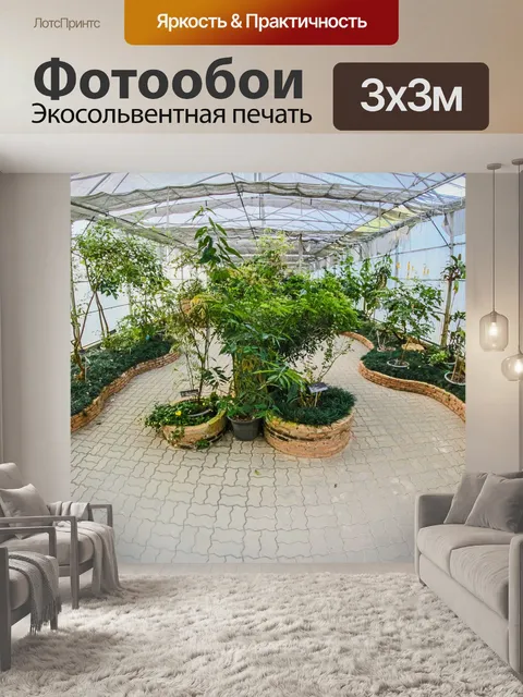 Фотообои Ботанический сад королевы Сирикит