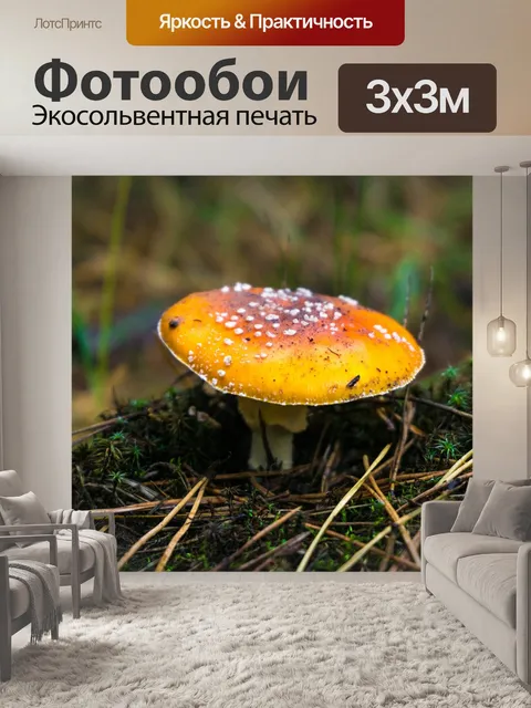 Фотообои Осень