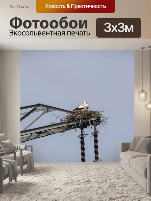 Фотообои Природа
