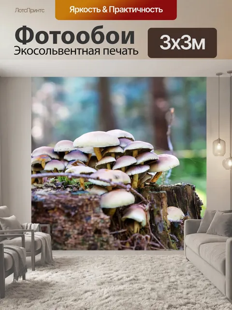 Фотообои Лес