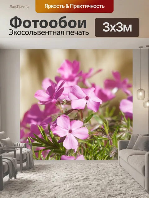 Фотообои Цветы