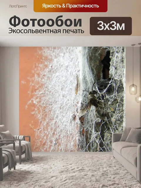 Фотообои Природа