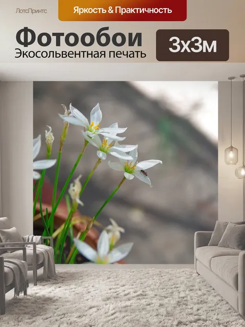 Фотообои Цветы