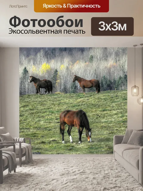 Фотообои Лошади