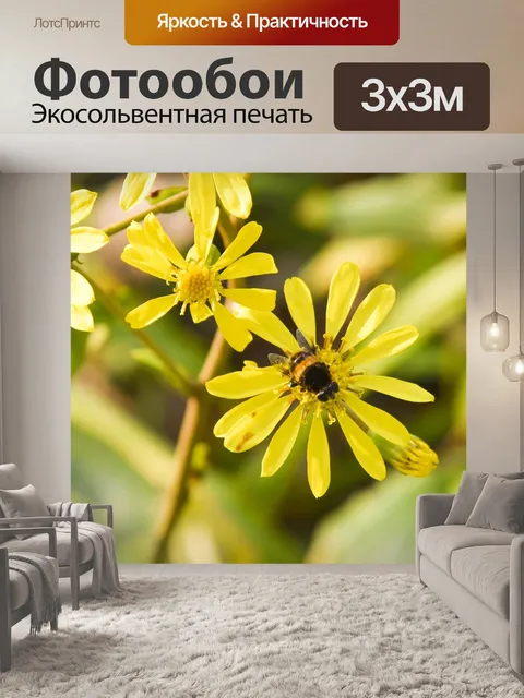 Фотообои Пчела