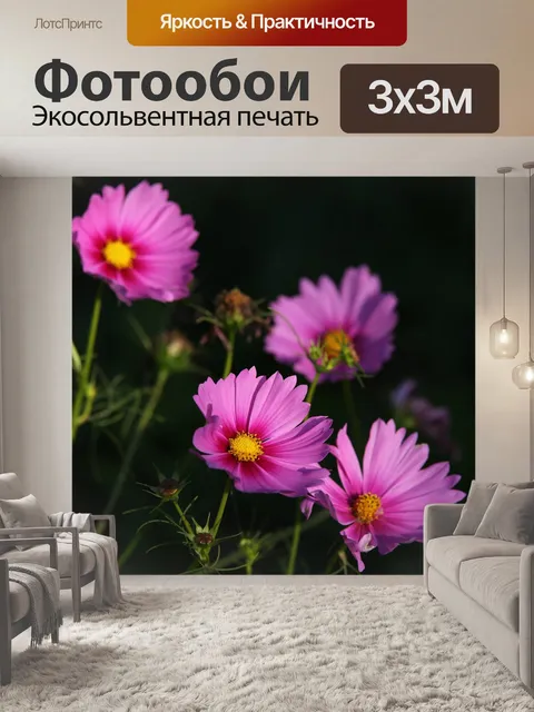 Фотообои Цветы космоса