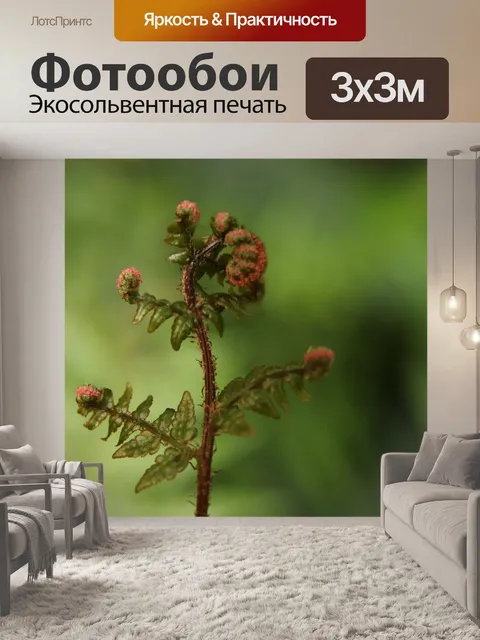 Фотообои Папоротник
