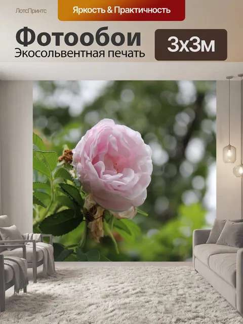Фотообои Цветок