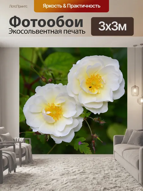 Фотообои Цветы