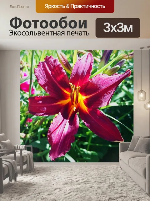 Фотообои Лили