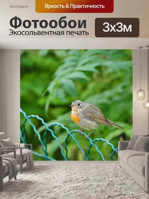 Фотообои Птица