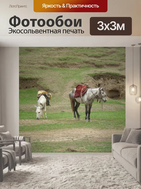 Фотообои Лошади